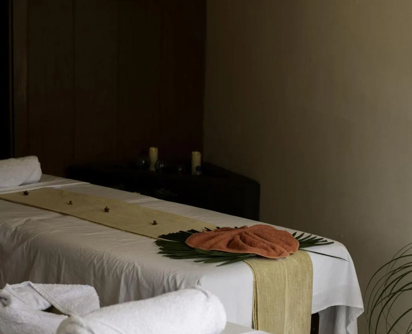 Bufo Alvarius Tulum Pueblo Hotel