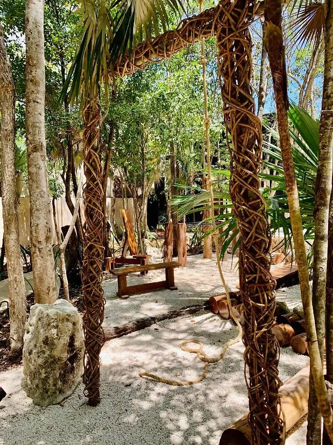 Bufo Alvarius Tulum Pueblo Hotel